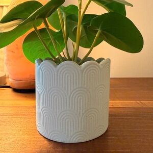 ✨HUGE MOVING SALE!!✨Pastel Green Faux Plant in Textured Pot